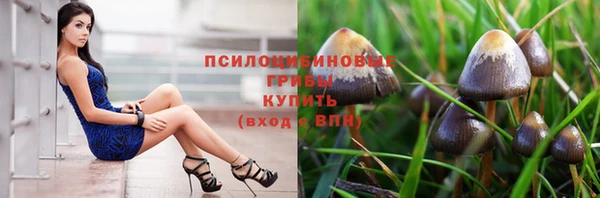 сатива Богородицк