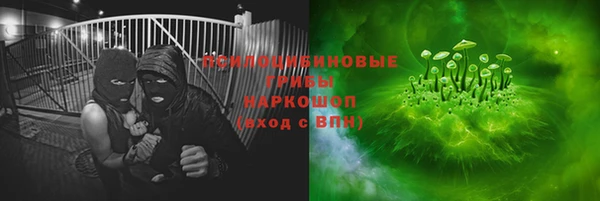 гашик Беломорск