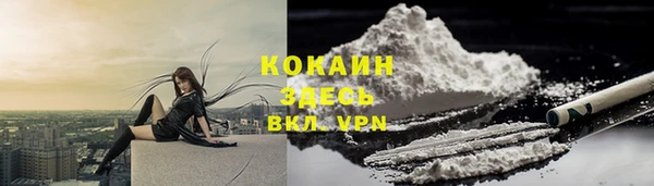 крисы Белокуриха