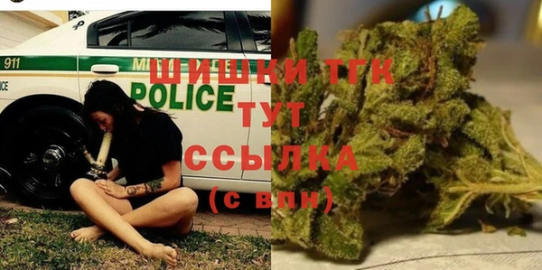 сатива Богородицк