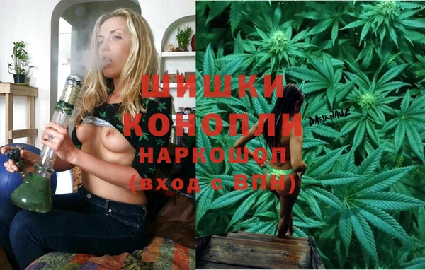 сатива Богородицк