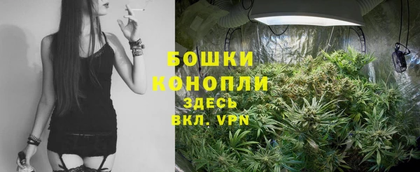 сатива Богородицк