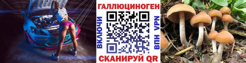 Галлюциногенные грибы Psilocybe  Острогожск 