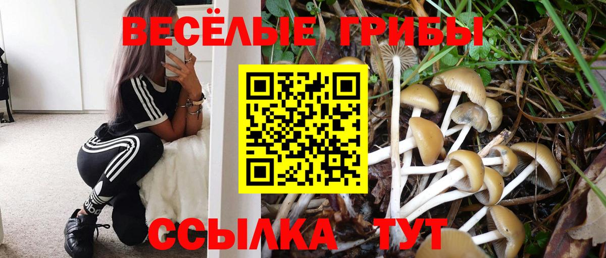 Галлюциногенные грибы Cubensis  Вход с VPN  Псилоцибиновые грибы MAGIC MUSHROOMS  Острогожск 